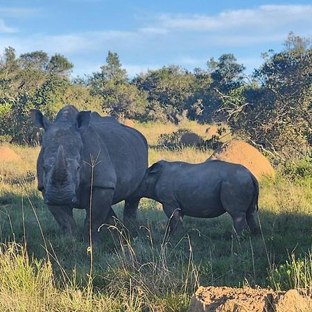 Parkview Safari Lodge Colchester Bagian luar foto