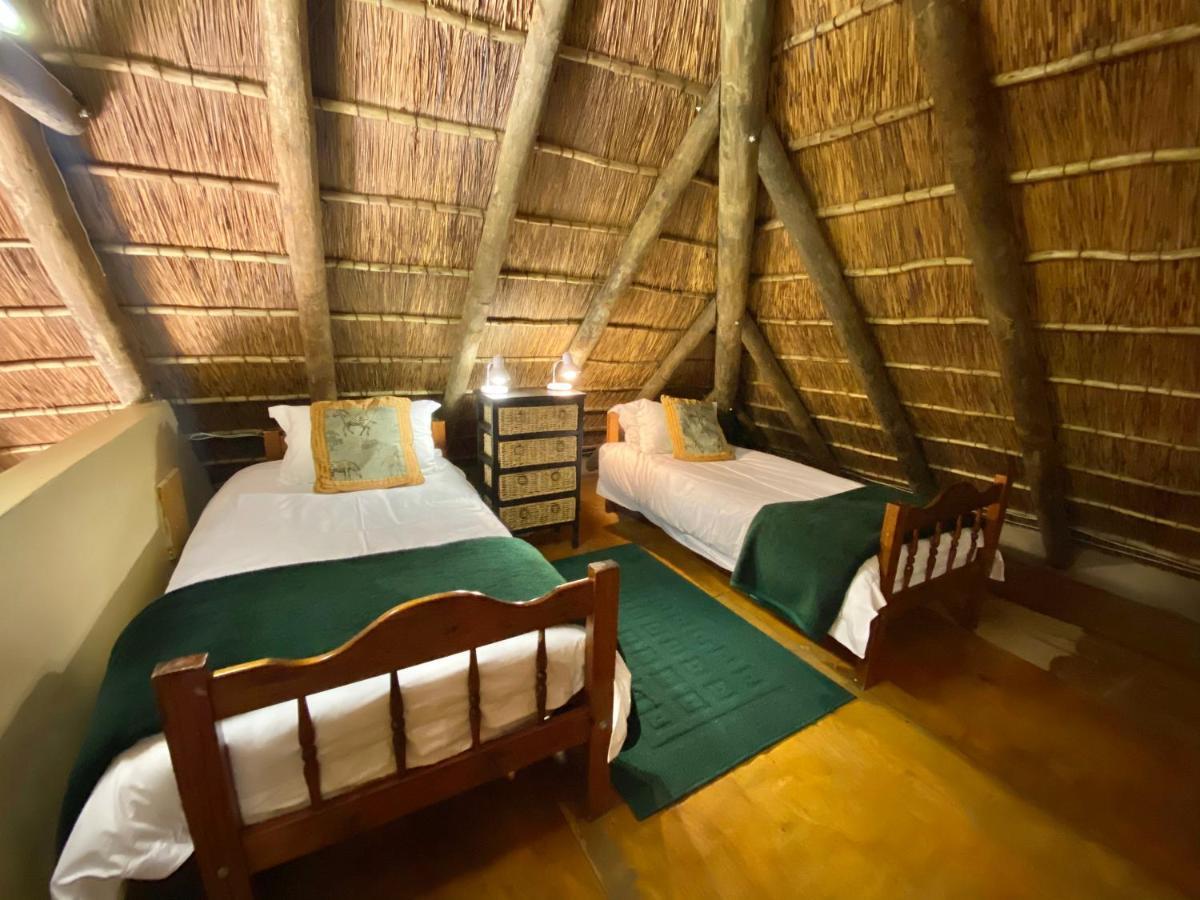 Parkview Safari Lodge Colchester Bagian luar foto