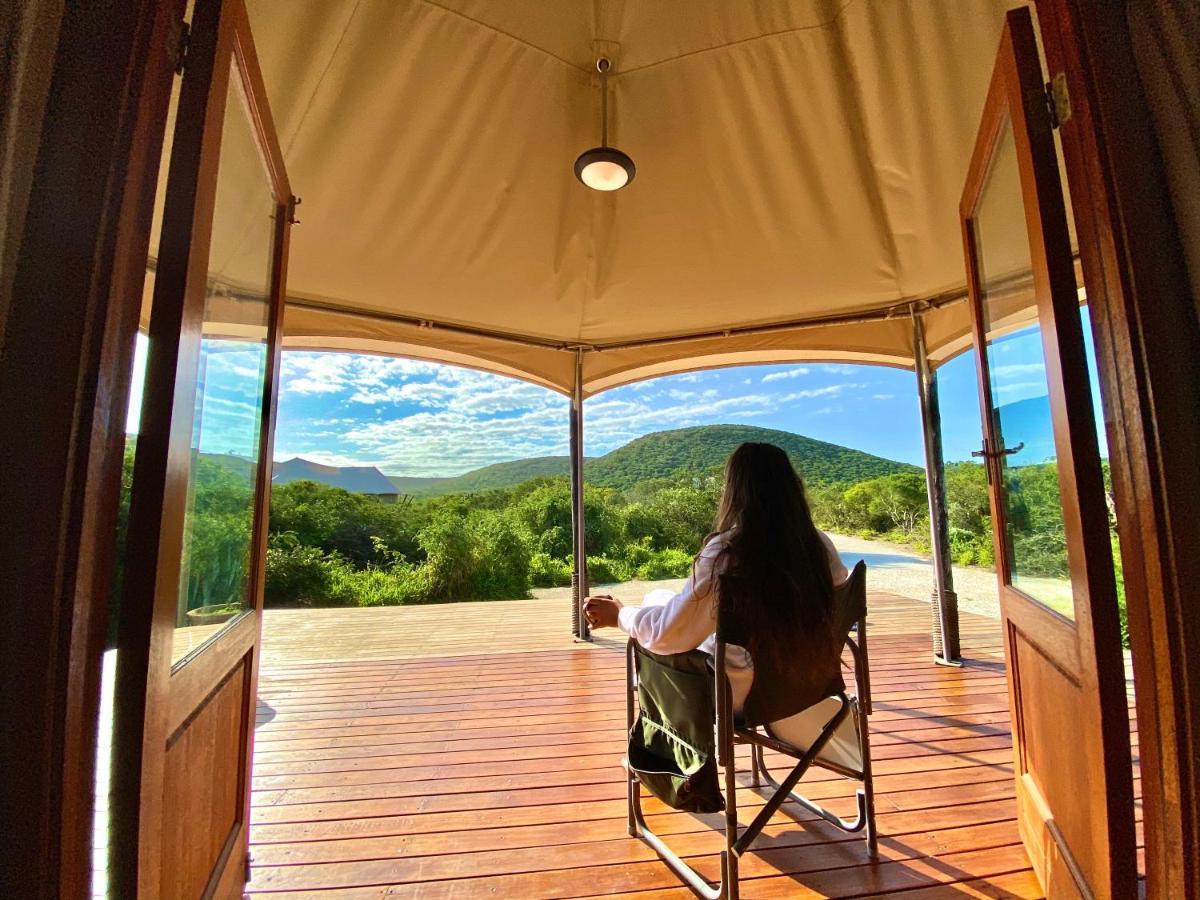 Parkview Safari Lodge Colchester Bagian luar foto