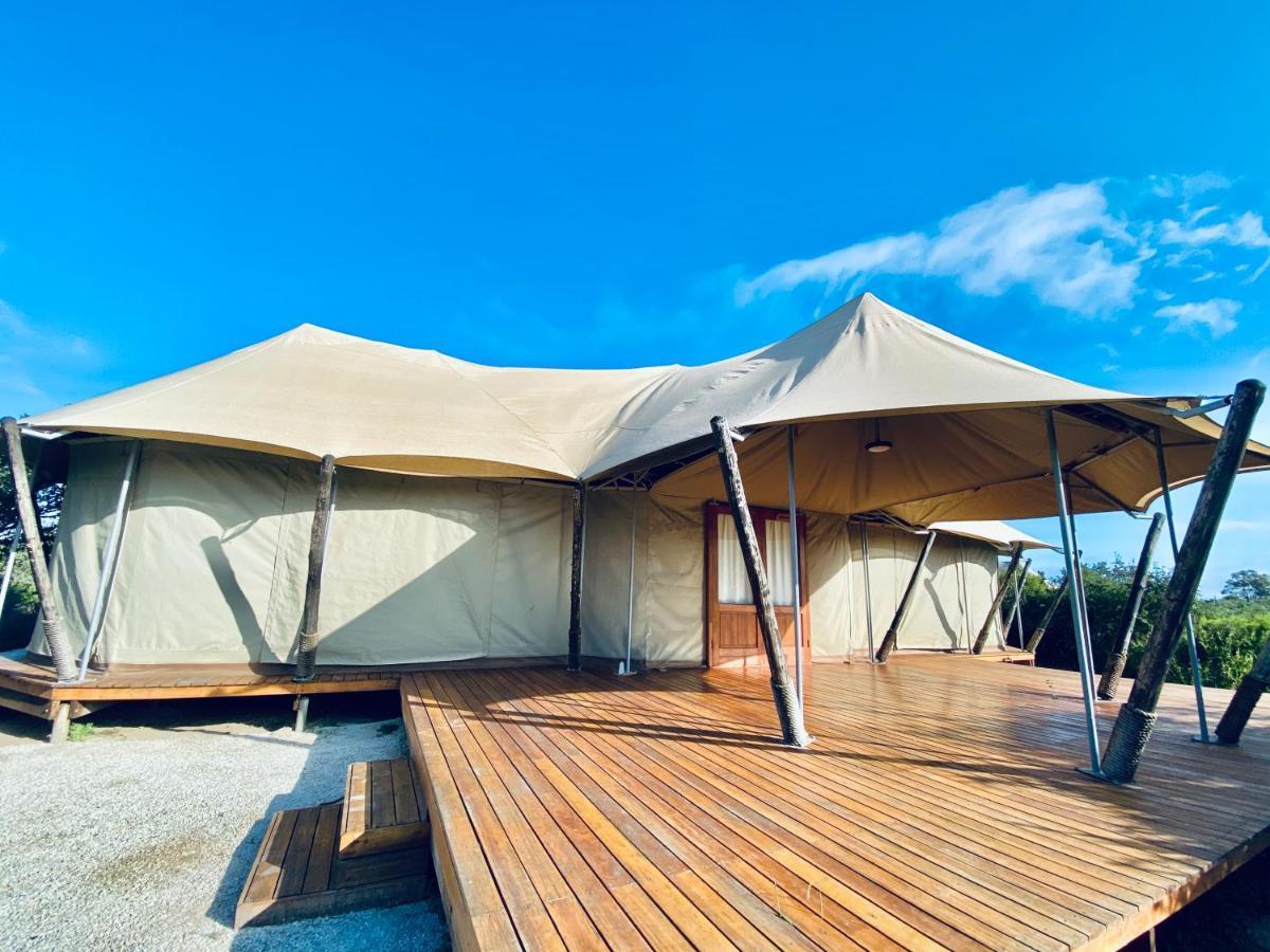 Parkview Safari Lodge Colchester Bagian luar foto