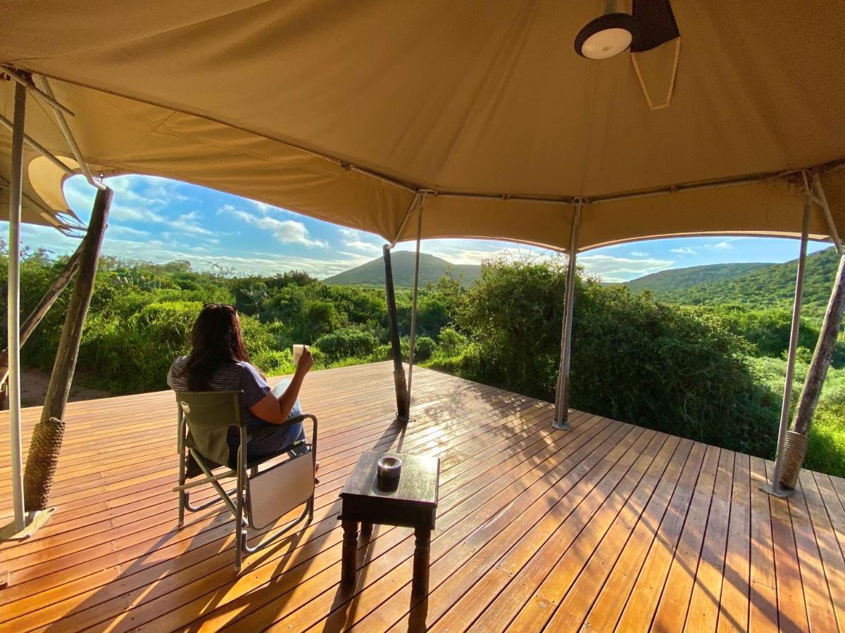 Parkview Safari Lodge Colchester Bagian luar foto