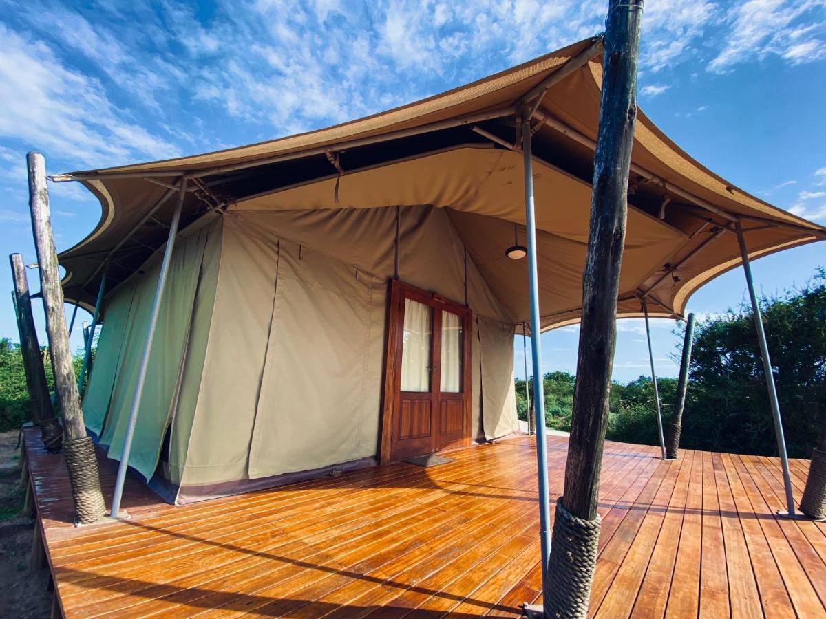 Parkview Safari Lodge Colchester Bagian luar foto