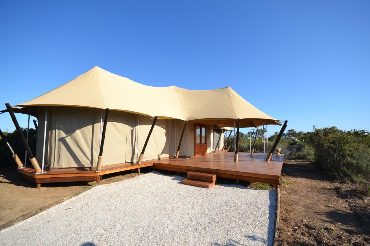 Parkview Safari Lodge Colchester Bagian luar foto