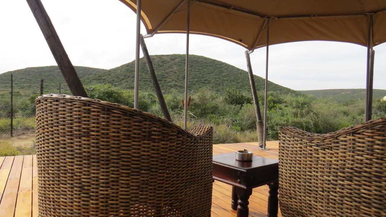 Parkview Safari Lodge Colchester Bagian luar foto