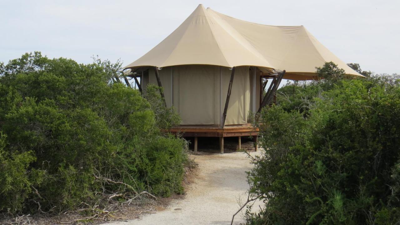 Parkview Safari Lodge Colchester Bagian luar foto